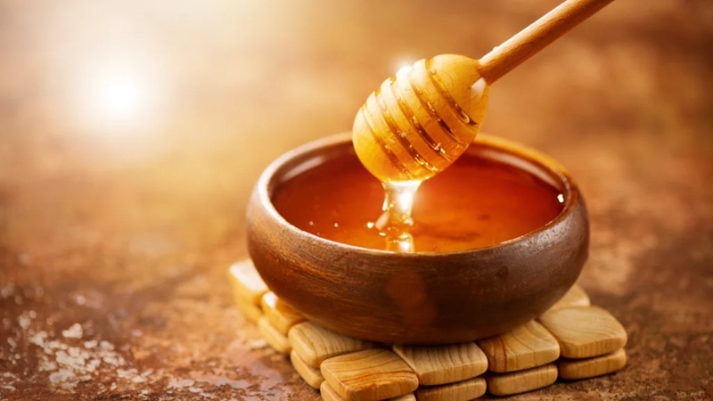 mat ong rung la gi loi ich cua mat ong rung la gi 2 3807b6ceb1